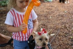 IMG_4169