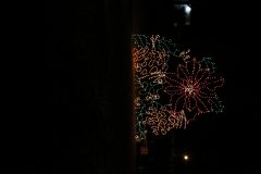 IMG_5264