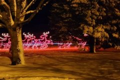 Santa-Reindeer