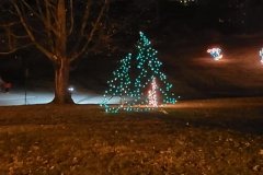 Trees