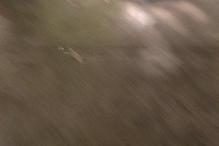 20251206_171758